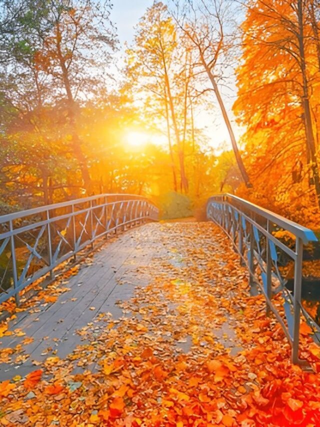 The Ayurvedic Way to Start Your Day